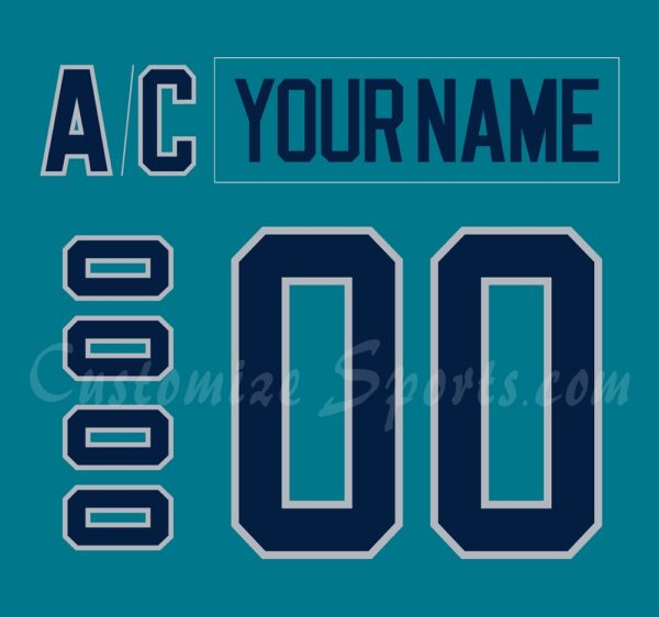 PWHL New York Customized Number Kit For 2023-2024 Home K1 Brand Jersey